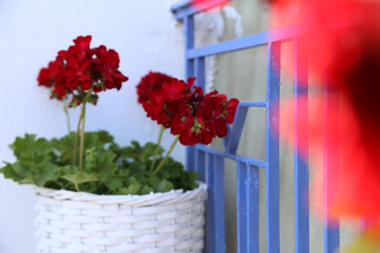 Apartmán Petalida Keramotí Exteriér fotografie